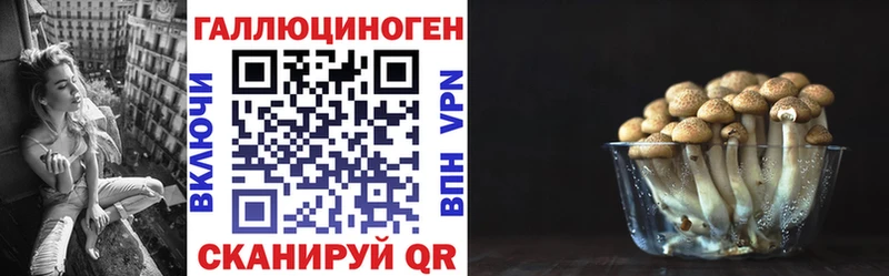 Псилоцибиновые грибы Magic Shrooms  Павлово 